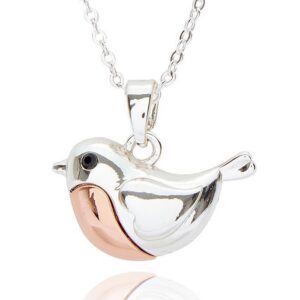 Equilibrium Robins Appear Two Tone Necklace